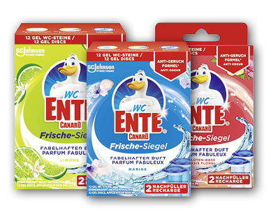WC ENTE(R) CANARD Frischesiegel Nachfüller