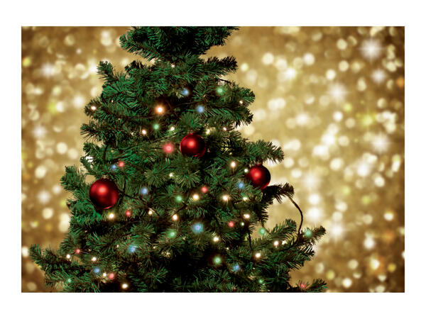 Livarno Home 50 LED Battery Operated String Lights