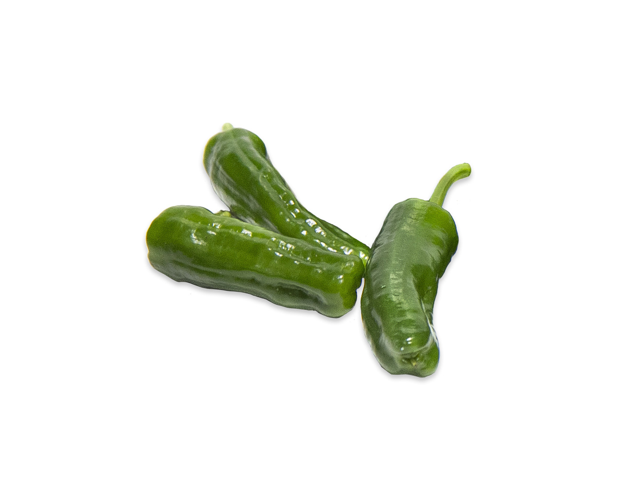 PADRÓNPAPRIKA