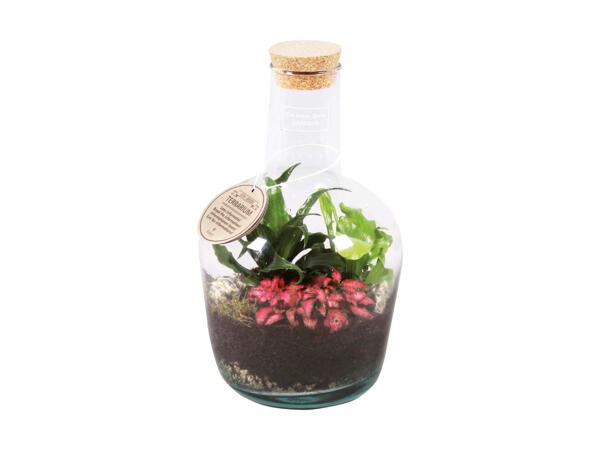Terrarium Garden