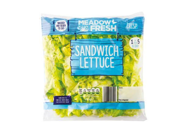 SANDWICH LETTUCE