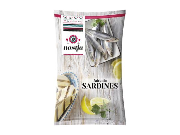 Sardines de l'Adriatique
