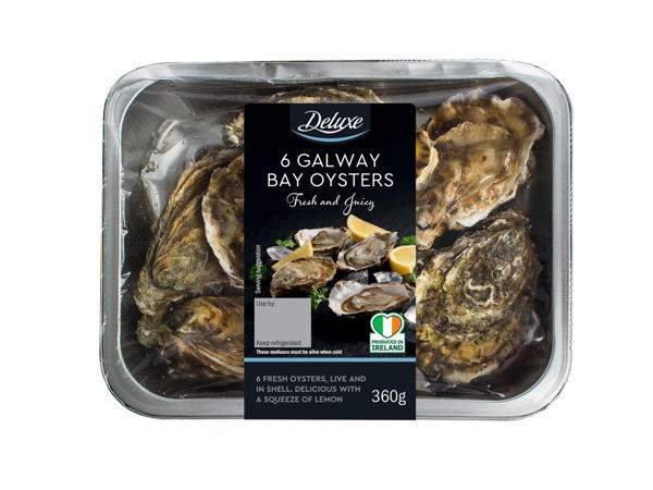 Oysters