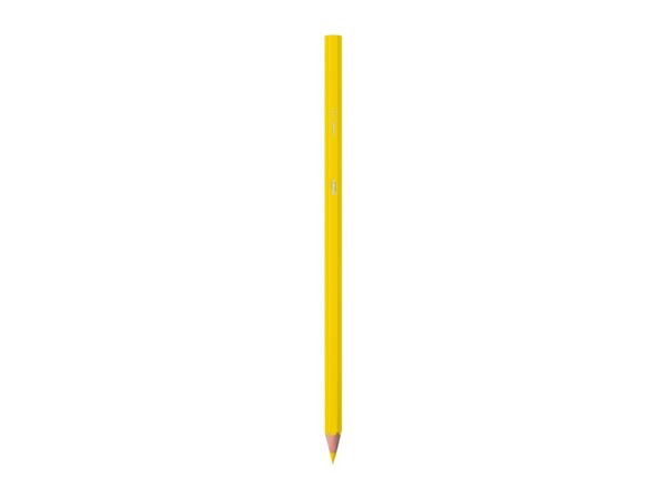 BIC Stationery Assortment