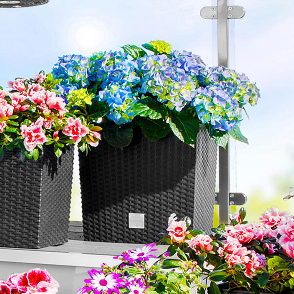 Blumentopf