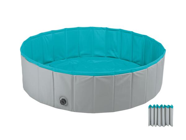Piscine pour chiens