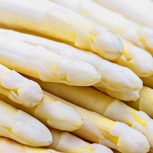 Spargel