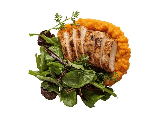 Frische Puten Mini-Steaks