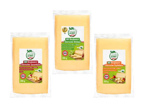 Steirischer Bio Bergbauern Käse im Stück