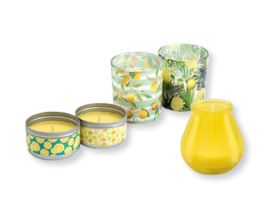 Bougie Citronella