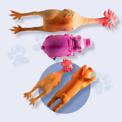 Jouet pour chiens