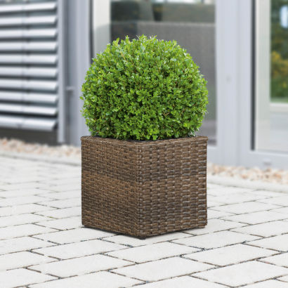 Plantekrukke