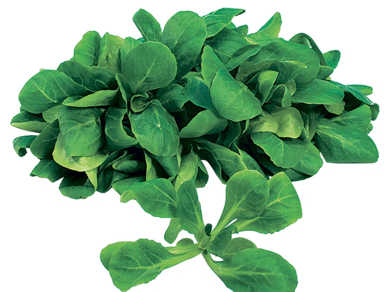 Vogerlsalat