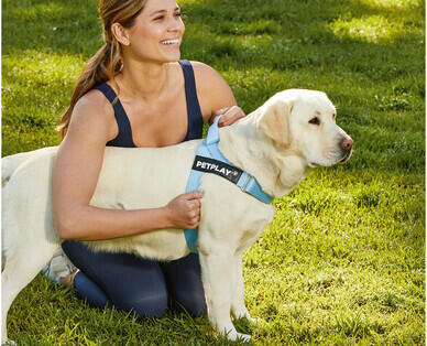 Medium or Large Dog Harness or Retractable Lead