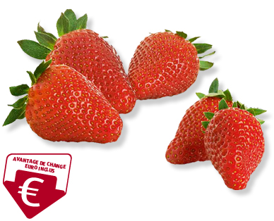 Fraises premium