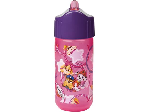 Lunchbox or Drink Bottle Assortment