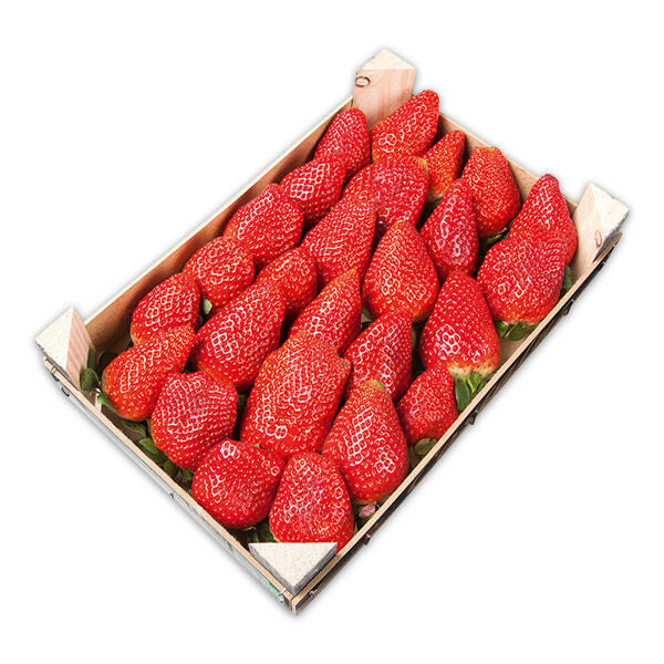 Erdbeeren