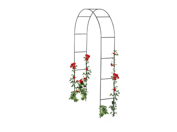 Livarno Home Rose Arch / Garden Obelisk
