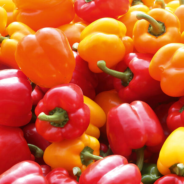 Paprika Sweet Mix