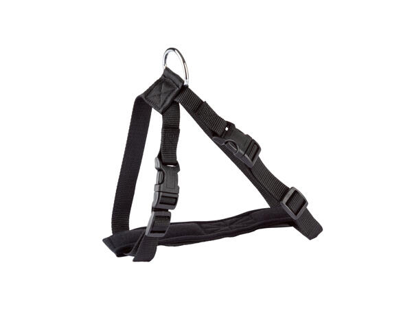 Car Harness