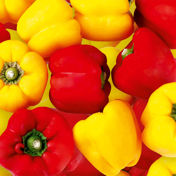 Paprika Sweet Mix