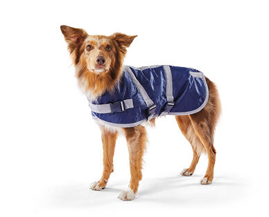 Dog Jacket – Medium or Large