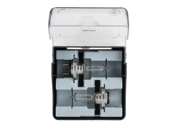 Car Headlight Bulbs