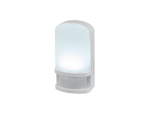 LED Night Light