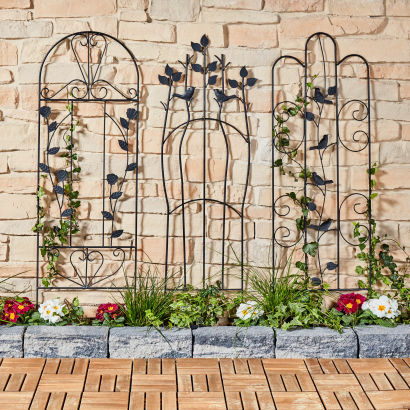 Espalier