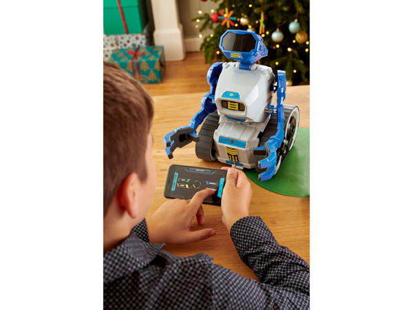 Programmable Robot