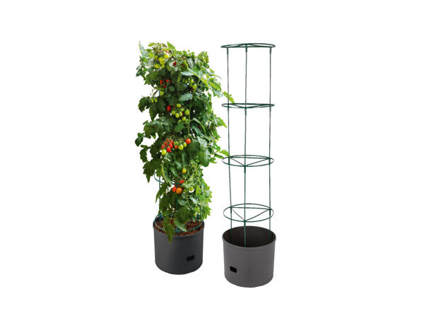 Kruka för tomatplantor