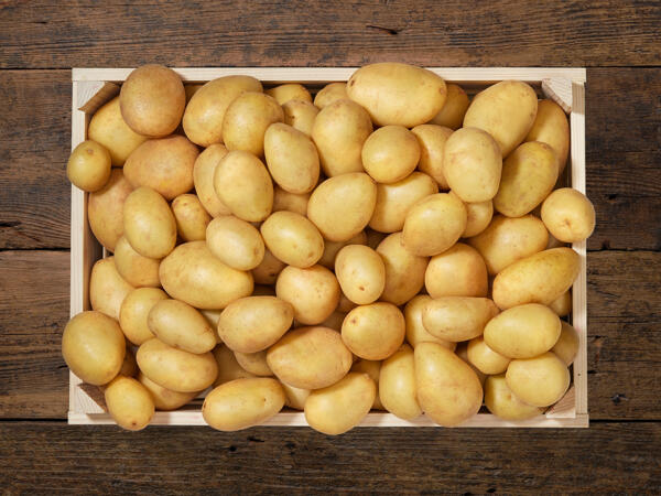 Pommes de terre nouvelles