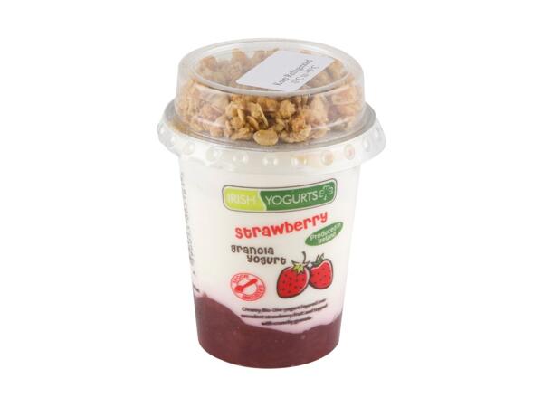 Granola Yogurt