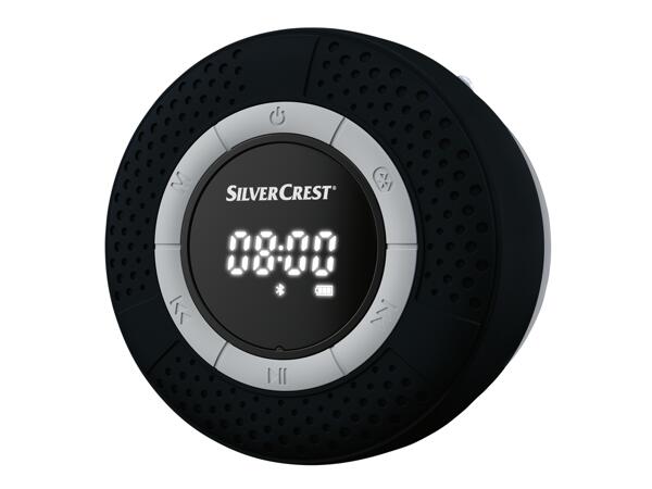 Bathroom Speaker