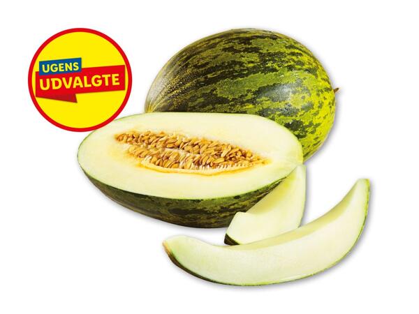 Piel de sapo melon