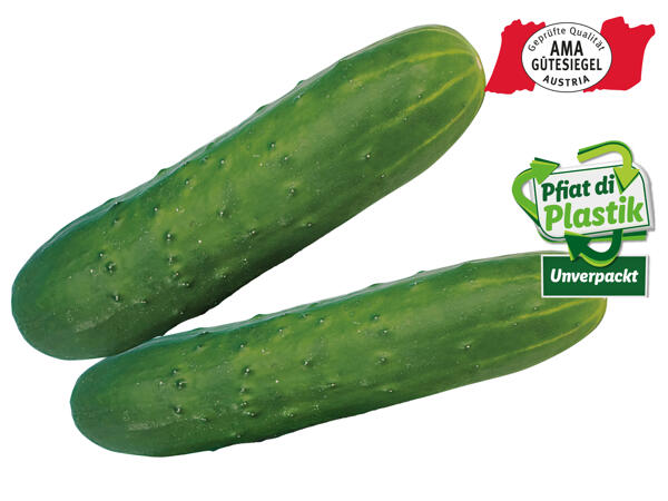 Feldgurke aus Österreich