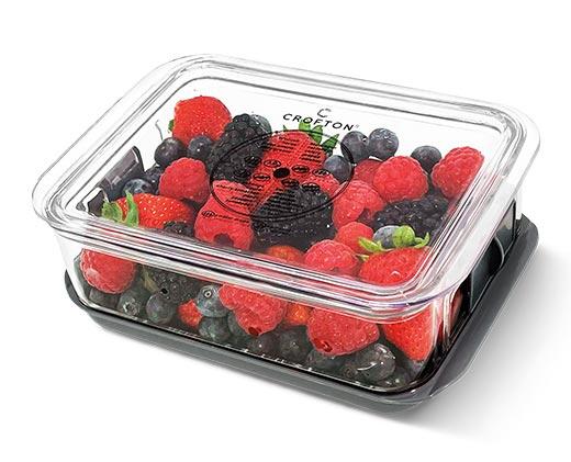 Crofton 2 Pack Berry Keeper or Produce Keeper