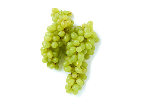 Raisins blancs sans pépins XXL