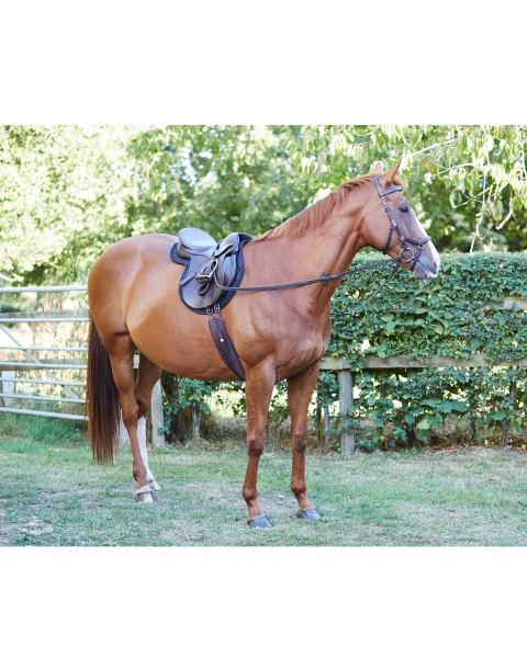 Crane Equestrian Numnah