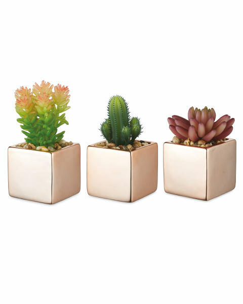Decorative Faux Succulent 3 Pack