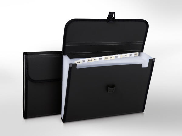 File Organiser