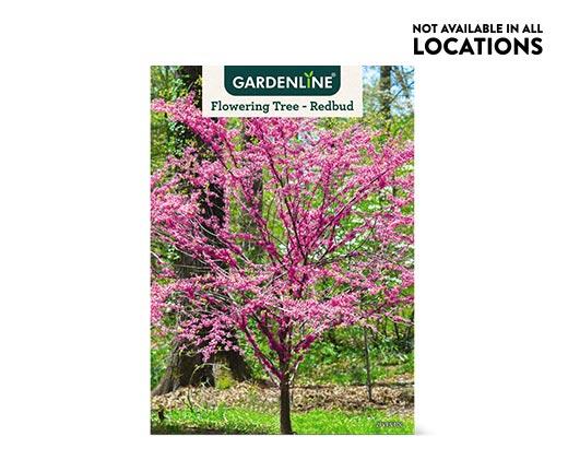 Gardenline 
 Shade or Ornamental Tree Assorted Varieties