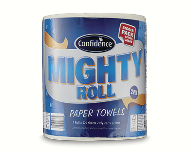 2ply Paper Towels