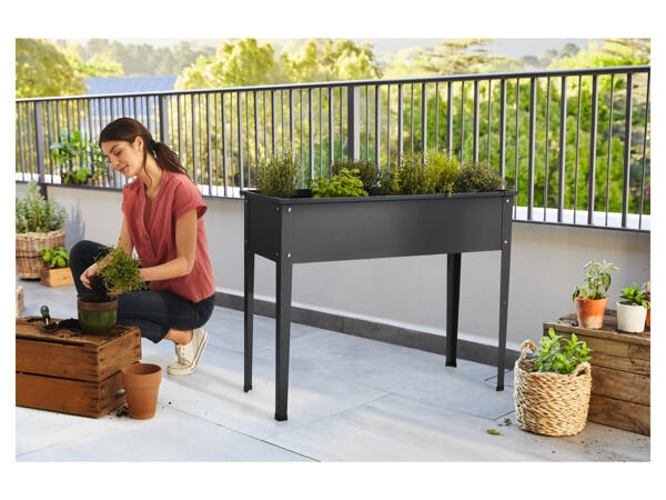 Raised Planter