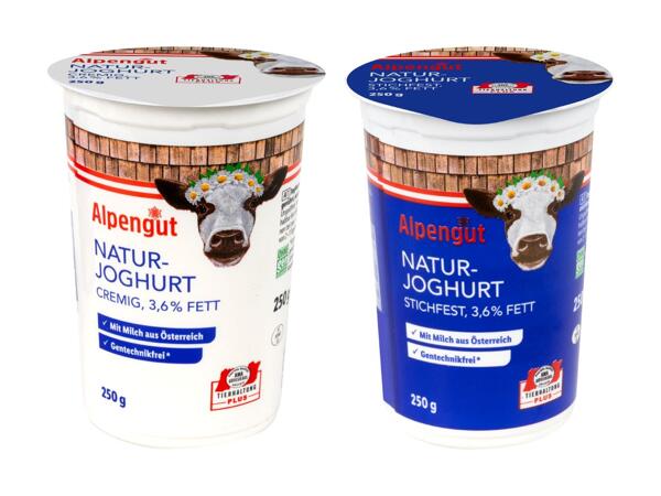 Naturjoghurt