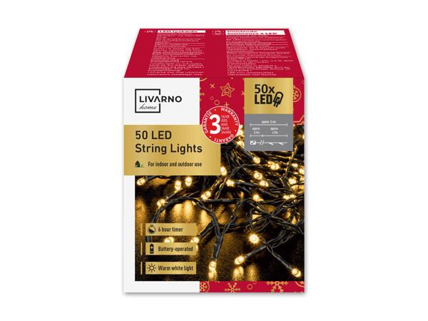 LED-Lichterkette, 50 LEDs
