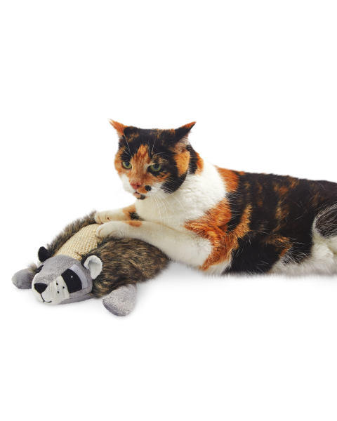 Cat Scratcher Raccoon