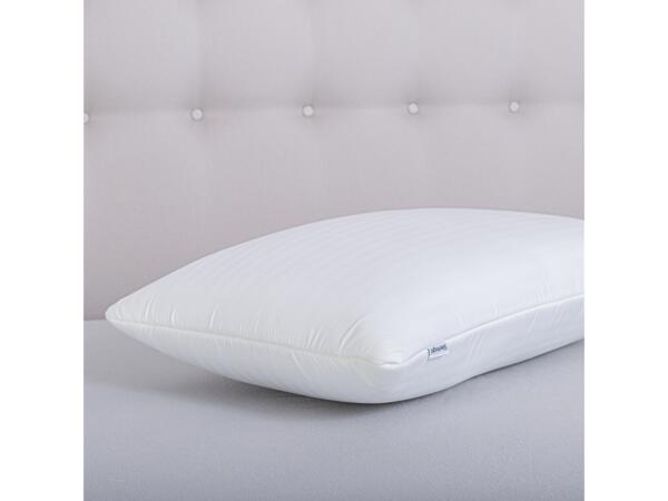 Memory Foam Anti-Bacterial Pillow