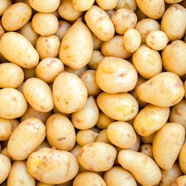 Speisekartoffeln