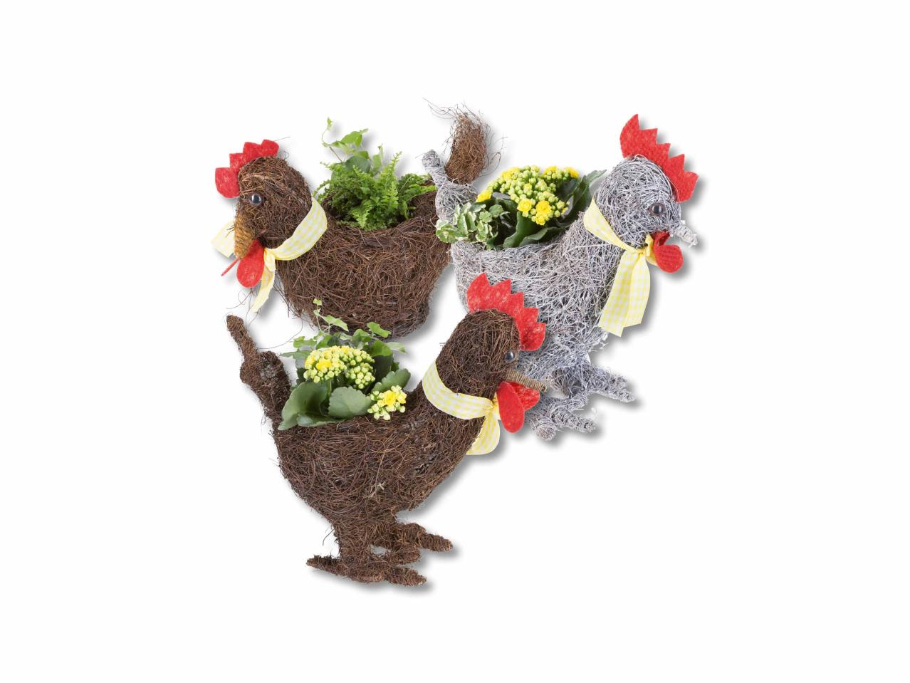 Coq en sisal